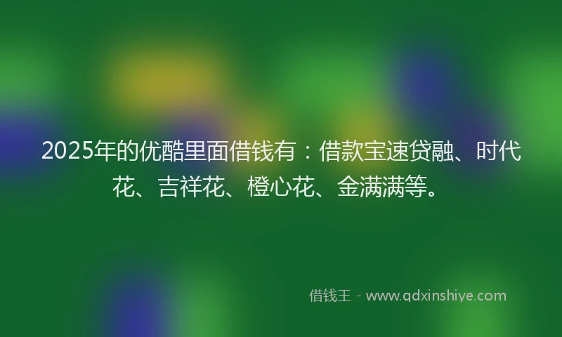 2025年的优酷里面借钱有：借款宝速贷融、时代花、吉祥花、橙心花、金满满等。