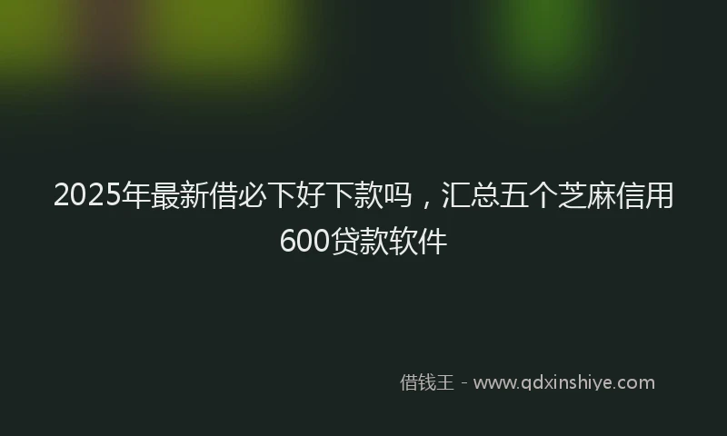 2025年最新借必下好下款吗，汇总五个芝麻信用600贷款软件