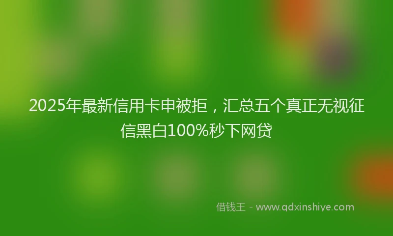 2025年最新信用卡申被拒，汇总五个真正无视征信黑白100%秒下网贷