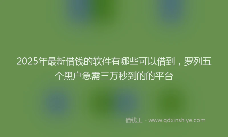 2025年最新借钱的软件有哪些可以借到，罗列五个黑户急需三万秒到的的平台