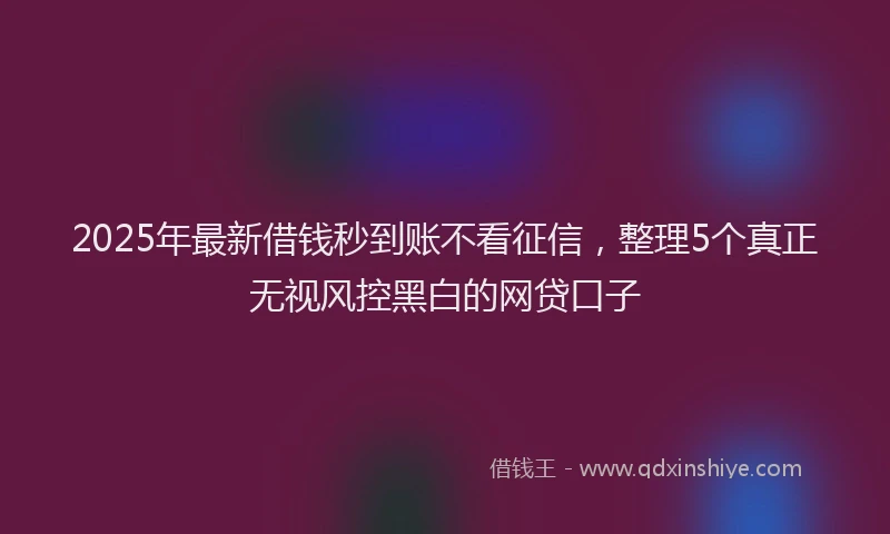 2025年最新借钱秒到账不看征信，整理5个真正无视风控黑白的网贷口子