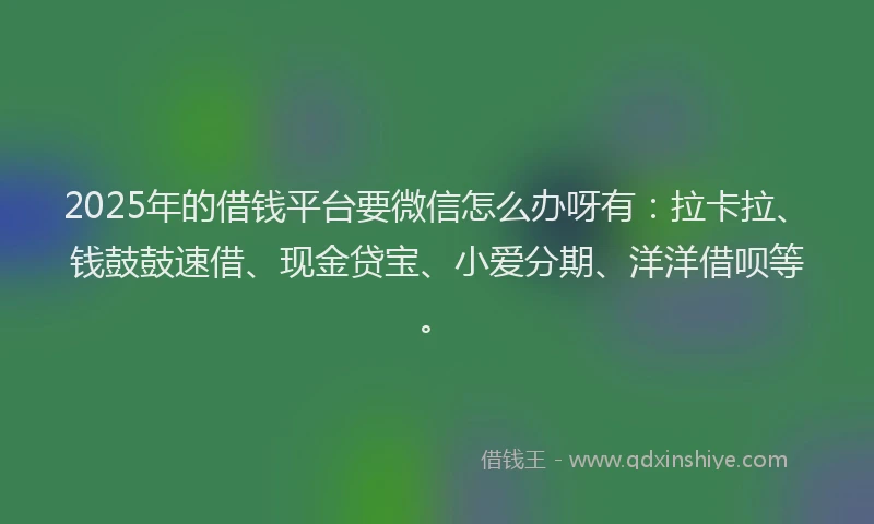 2025年的借钱平台要微信怎么办呀有：拉卡拉、钱鼓鼓速借、现金贷宝、小爱分期、洋洋借呗等。
