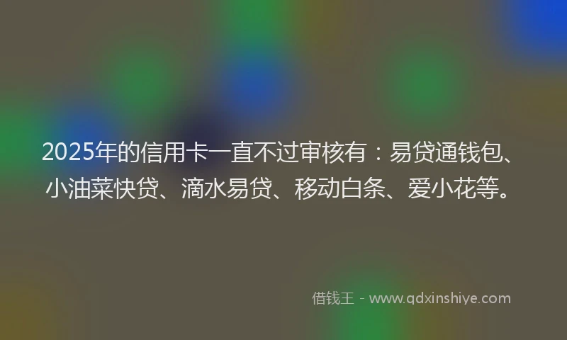 2025年的信用卡一直不过审核有：易贷通钱包、小油菜快贷、滴水易贷、移动白条、爱小花等。