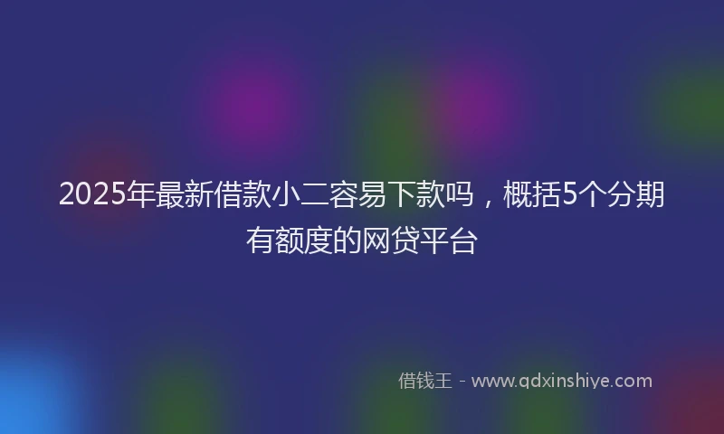 2025年最新借款小二容易下款吗，概括5个分期有额度的网贷平台