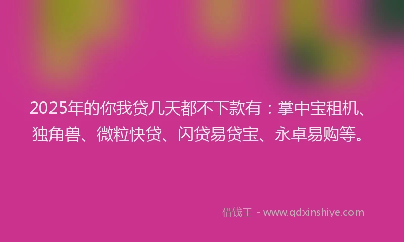 2025年的你我贷几天都不下款有：掌中宝租机、独角兽、微粒快贷、闪贷易贷宝、永卓易购等。
