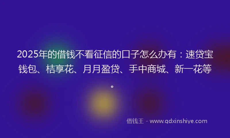 2025年的借钱不看征信的口子怎么办有：速贷宝钱包、桔享花、月月盈贷、手中商城、新一花等。