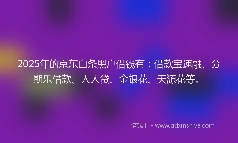 2025年的京东白条黑户借钱有：借款宝速融、分期乐借款、人人贷、金银花、天源花等。