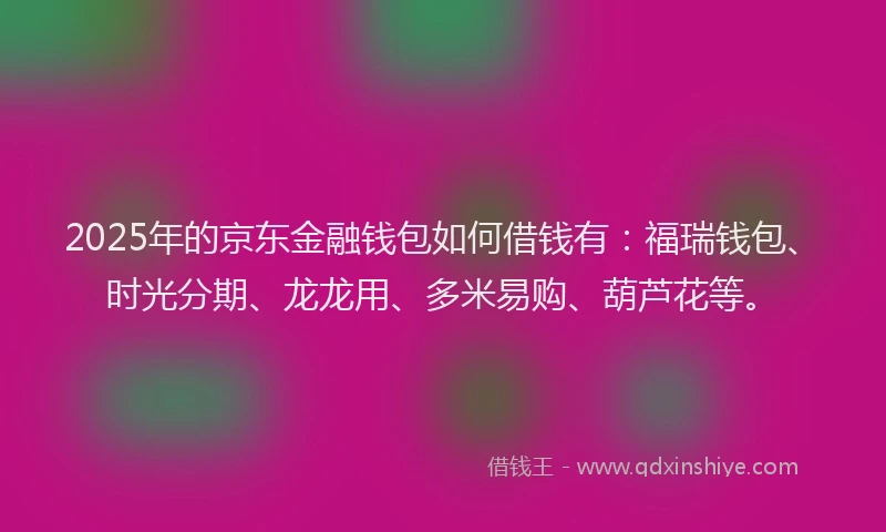 2025年的京东金融钱包如何借钱有：福瑞钱包、时光分期、龙龙用、多米易购、葫芦花等。