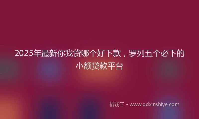 2025年最新你我贷哪个好下款，罗列五个必下的小额贷款平台