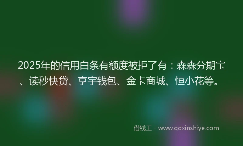 2025年的信用白条有额度被拒了有：森森分期宝、读秒快贷、享宇钱包、金卡商城、恒小花等。