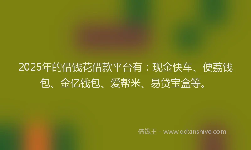 2025年的借钱花借款平台有：现金快车、便荔钱包、金亿钱包、爱帮米、易贷宝盒等。
