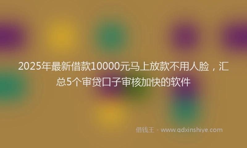 2025年最新借款10000元马上放款不用人脸，汇总5个审贷口子审核加快的软件