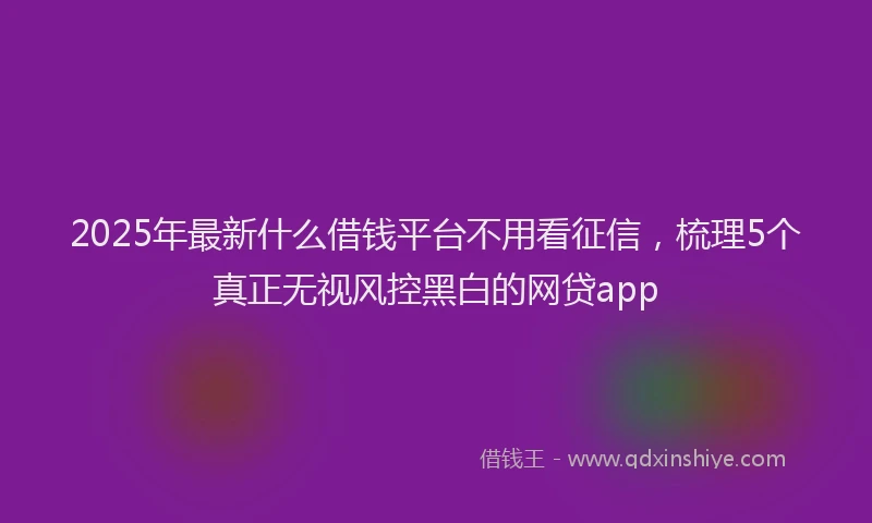 2025年最新什么借钱平台不用看征信，梳理5个真正无视风控黑白的网贷app