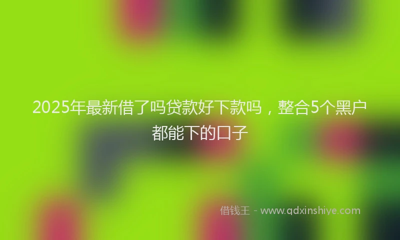 2025年最新借了吗贷款好下款吗，整合5个黑户都能下的口子