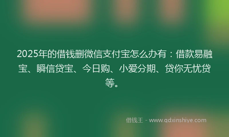 2025年的借钱删微信支付宝怎么办有：借款易融宝、瞬信贷宝、今日购、小爱分期、贷你无忧贷等。