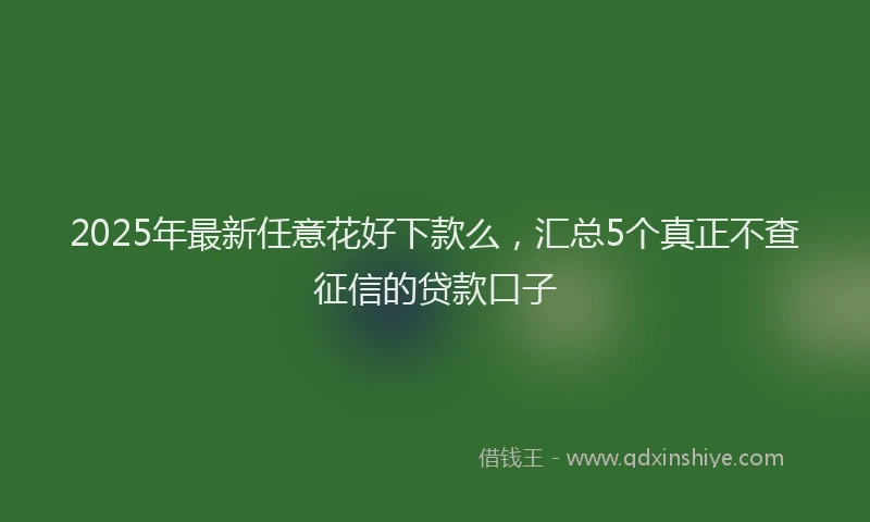 2025年最新任意花好下款么，汇总5个真正不查征信的贷款口子