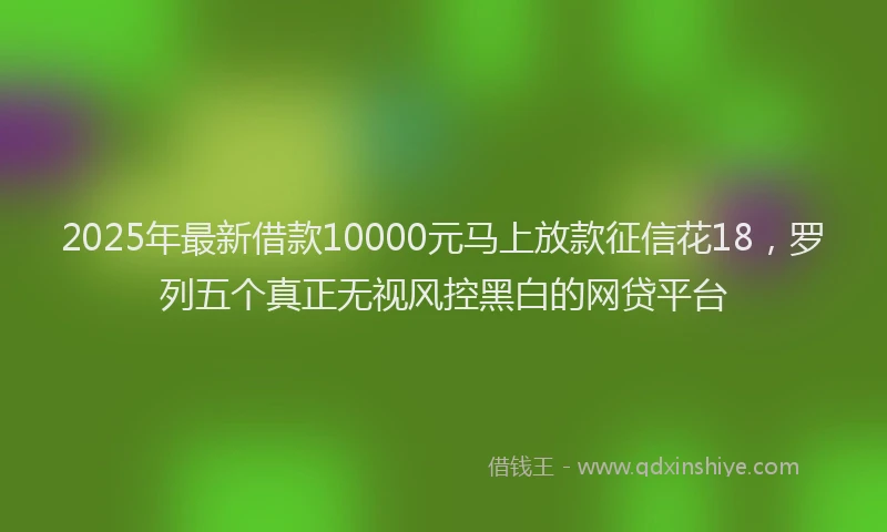 2025年最新借款10000元马上放款征信花18，罗列五个真正无视风控黑白的网贷平台