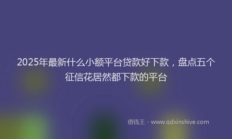 2025年最新什么小额平台贷款好下款，盘点五个征信花居然都下款的平台