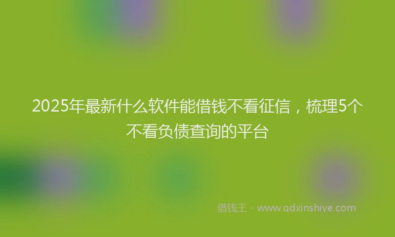 2025年最新什么软件能借钱不看征信，梳理5个不看负债查询的平台