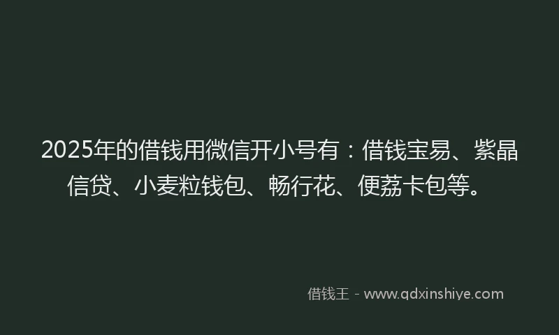 2025年的借钱用微信开小号有：借钱宝易、紫晶信贷、小麦粒钱包、畅行花、便荔卡包等。