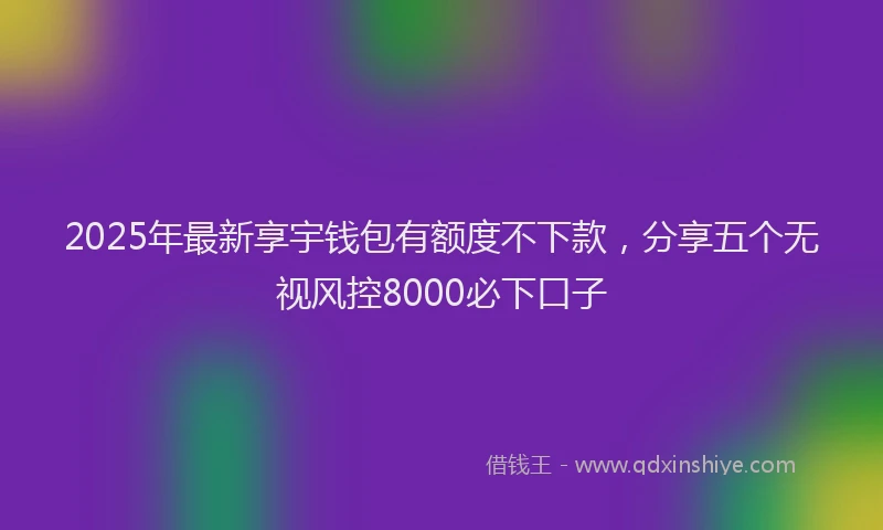2025年最新享宇钱包有额度不下款，分享五个无视风控8000必下口子