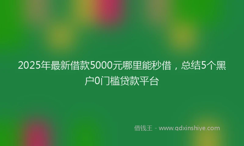 2025年最新借款5000元哪里能秒借，总结5个黑户0门槛贷款平台