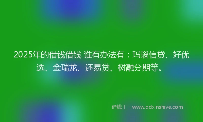 2025年的借钱借钱 谁有办法有：玛瑙信贷、好优选、金瑞龙、还易贷、树融分期等。