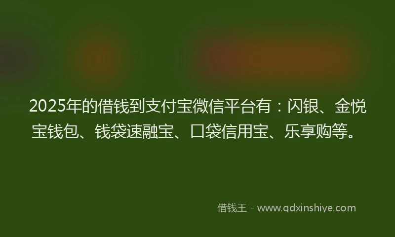 2025年的借钱到支付宝微信平台有：闪银、金悦宝钱包、钱袋速融宝、口袋信用宝、乐享购等。