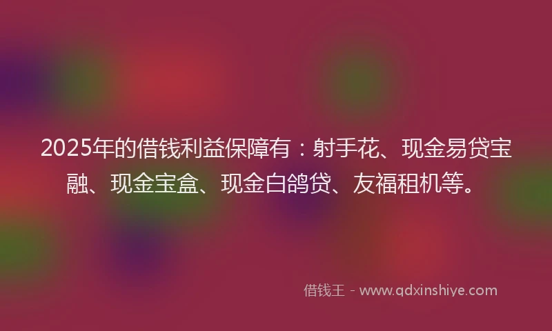 2025年的借钱利益保障有：射手花、现金易贷宝融、现金宝盒、现金白鸽贷、友福租机等。