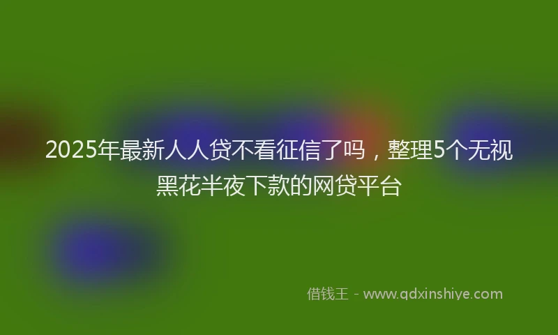 2025年最新人人贷不看征信了吗，整理5个无视黑花半夜下款的网贷平台