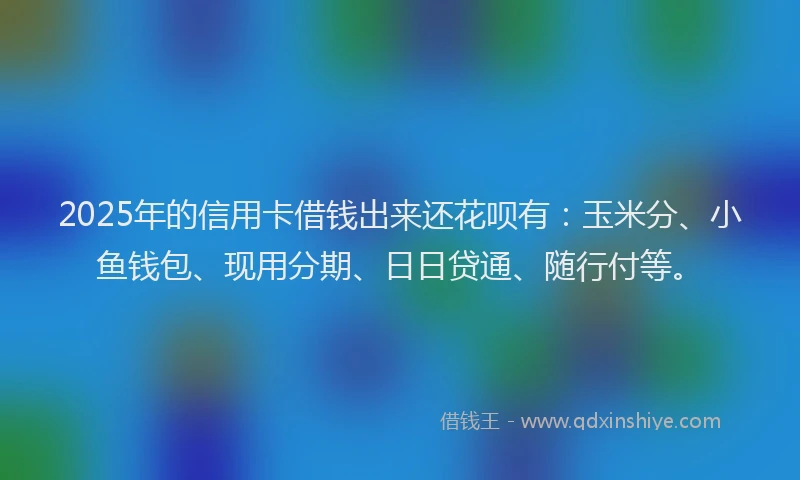 2025年的信用卡借钱出来还花呗有：玉米分、小鱼钱包、现用分期、日日贷通、随行付等。