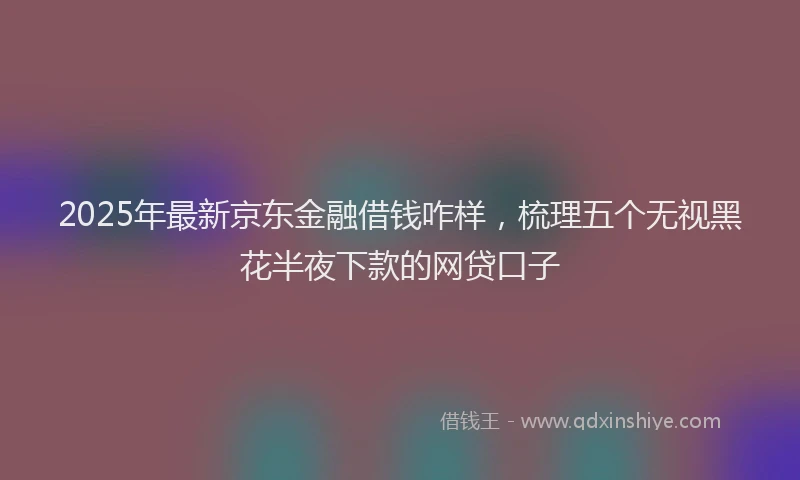 2025年最新京东金融借钱咋样，梳理五个无视黑花半夜下款的网贷口子