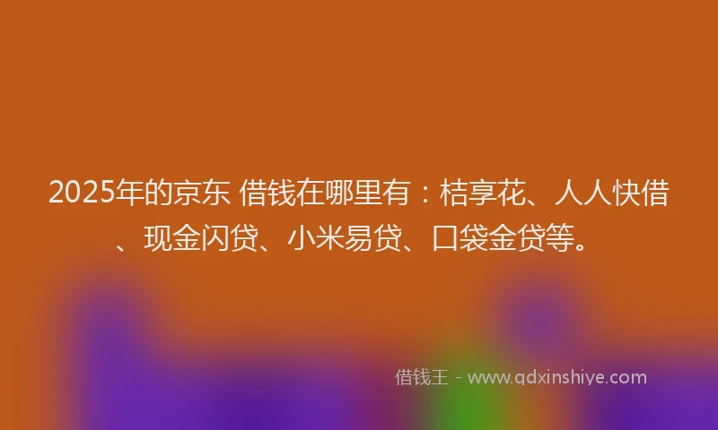 2025年的京东 借钱在哪里有：桔享花、人人快借、现金闪贷、小米易贷、口袋金贷等。