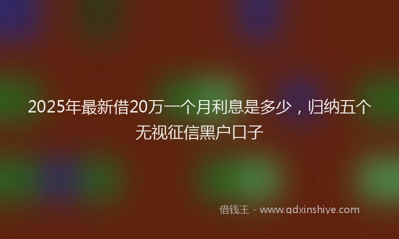 2025年最新借20万一个月利息是多少，归纳五个无视征信黑户口子