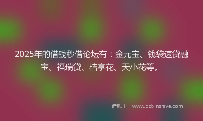 2025年的借钱秒借论坛有：金元宝、钱袋速贷融宝、福瑞贷、桔享花、天小花等。