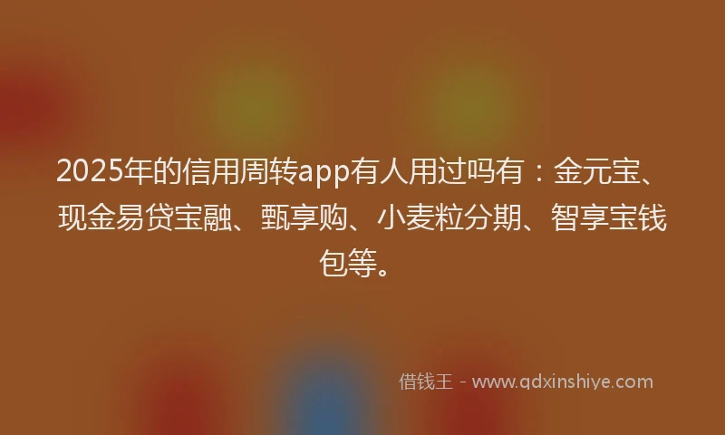 2025年的信用周转app有人用过吗有：金元宝、现金易贷宝融、甄享购、小麦粒分期、智享宝钱包等。