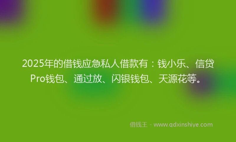 2025年的借钱应急私人借款有：钱小乐、信贷Pro钱包、通过放、闪银钱包、天源花等。