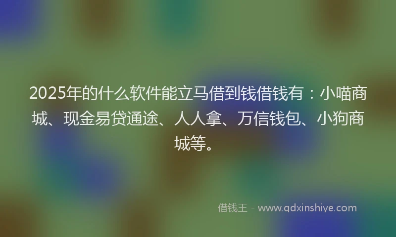 2025年的什么软件能立马借到钱借钱有：小喵商城、现金易贷通途、人人拿、万信钱包、小狗商城等。