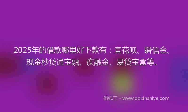 2025年的借款哪里好下款有：宜花呗、瞬信金、现金秒贷通宝融、疾融金、易贷宝盒等。