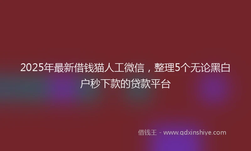 2025年最新借钱猫人工微信，整理5个无论黑白户秒下款的贷款平台