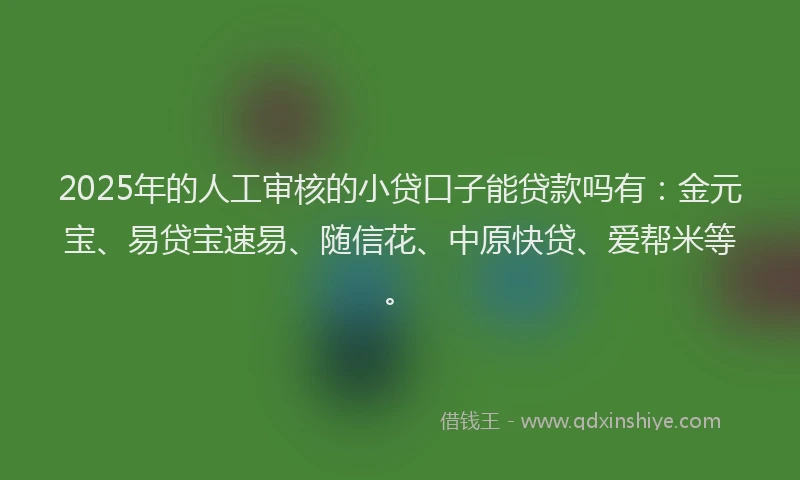 2025年的人工审核的小贷口子能贷款吗有：金元宝、易贷宝速易、随信花、中原快贷、爱帮米等。