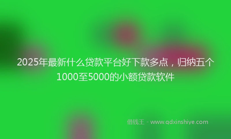 2025年最新什么贷款平台好下款多点，归纳五个1000至5000的小额贷款软件