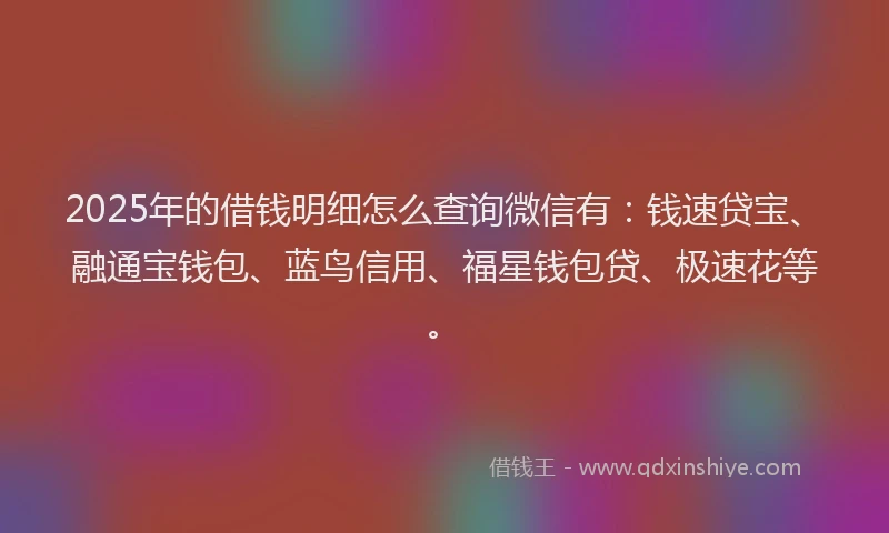 2025年的借钱明细怎么查询微信有：钱速贷宝、融通宝钱包、蓝鸟信用、福星钱包贷、极速花等。