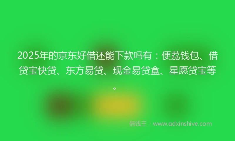 2025年的京东好借还能下款吗有：便荔钱包、借贷宝快贷、东方易贷、现金易贷盒、星愿贷宝等。