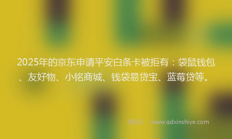 2025年的京东申请平安白条卡被拒有：袋鼠钱包、友好物、小铭商城、钱袋易贷宝、蓝莓贷等。