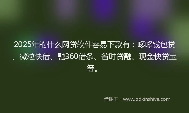 2025年的什么网贷软件容易下款有：哆哆钱包贷、微粒快借、融360借条、省时贷融、现金快贷宝等。