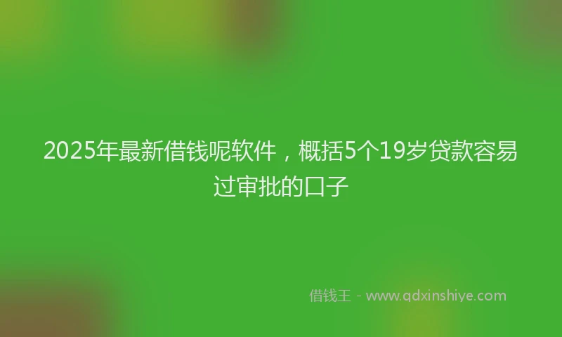 2025年最新借钱呢软件，概括5个19岁贷款容易过审批的口子