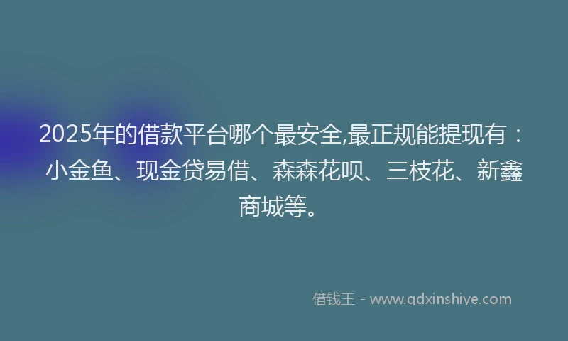2025年的借款平台哪个最安全,最正规能提现有：小金鱼、现金贷易借、森森花呗、三枝花、新鑫商城等。