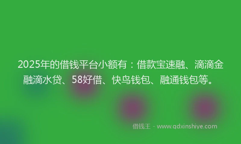 2025年的借钱平台小额有：借款宝速融、滴滴金融滴水贷、58好借、快鸟钱包、融通钱包等。