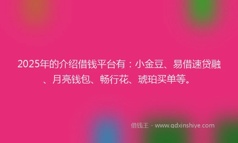 2025年的介绍借钱平台有：小金豆、易借速贷融、月亮钱包、畅行花、琥珀买单等。
